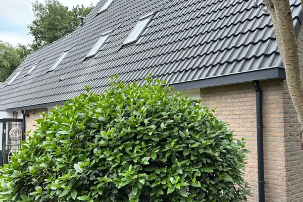 Dak vervangen, dakraam plaatsen - Almere