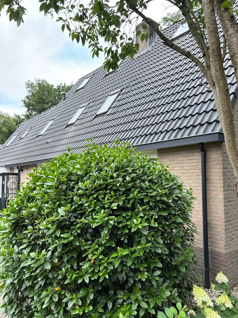 Dakrenovatie - eindresultaat pannendak vernieuwing